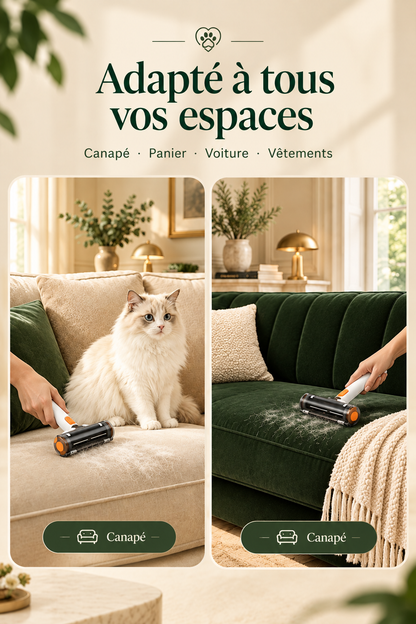 4ème image corrigée avec le vrai rouleau PawZen