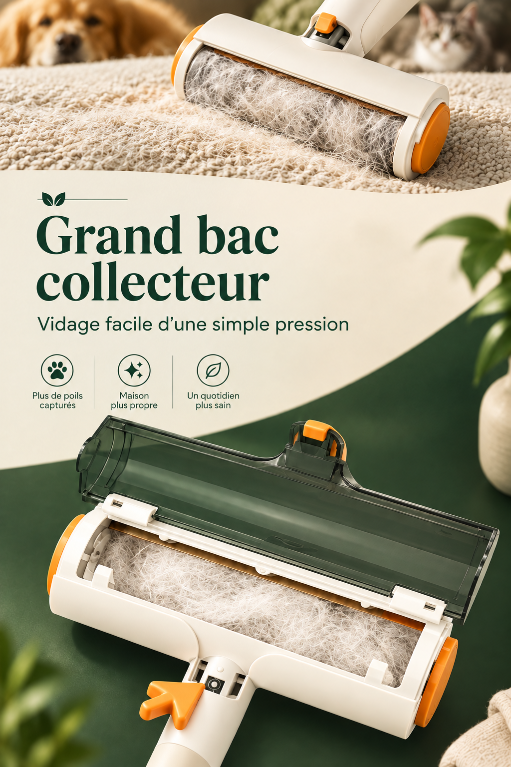 Image corrigée sans manche vert